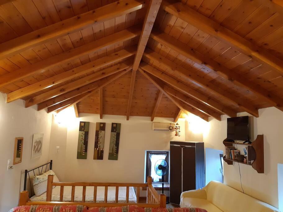 Kouros Villa! Paltsi Pilion Exterior foto