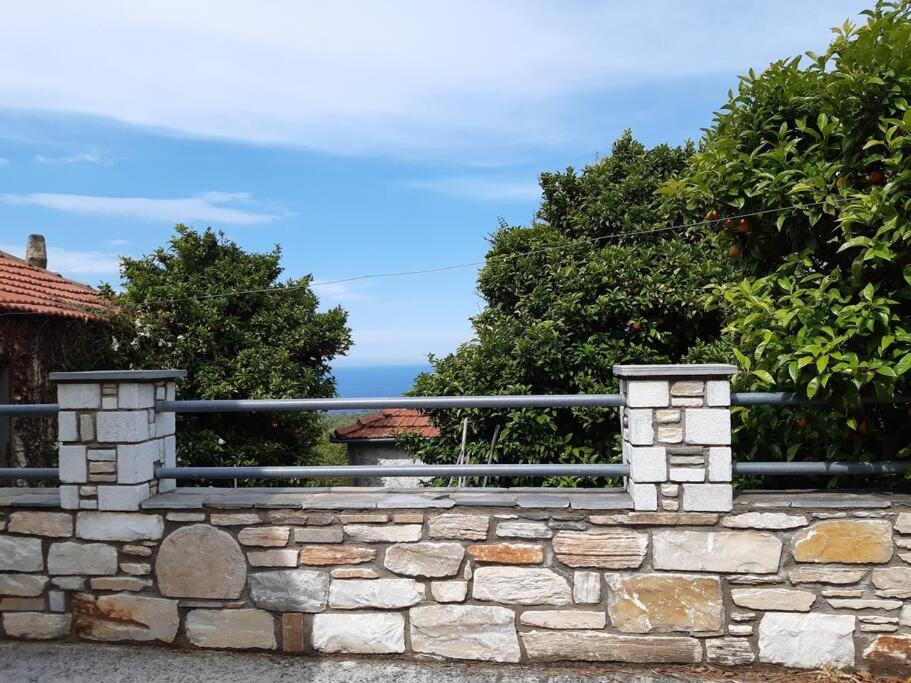 Kouros Villa! Paltsi Pilion Exterior foto