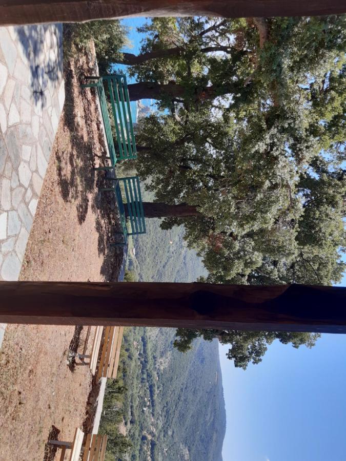 Kouros Villa! Paltsi Pilion Exterior foto